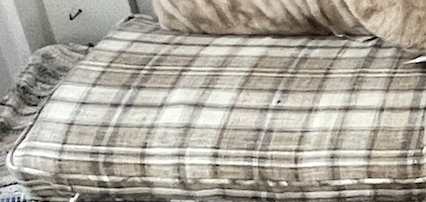 Bench Cushion