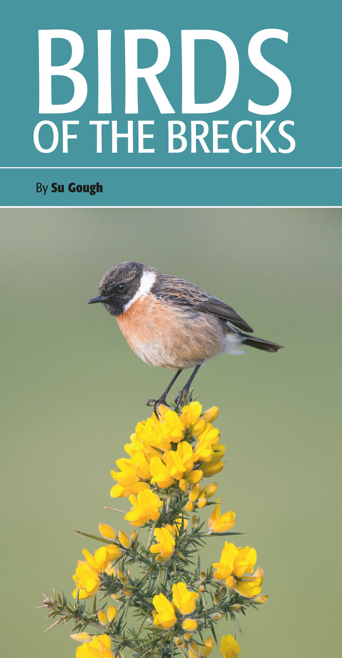 Birds of the Brecks, by Su Gough