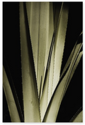 Borocco Pair II 30x45