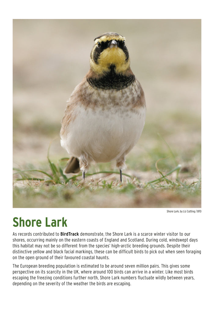 BTO 2027 Calendar