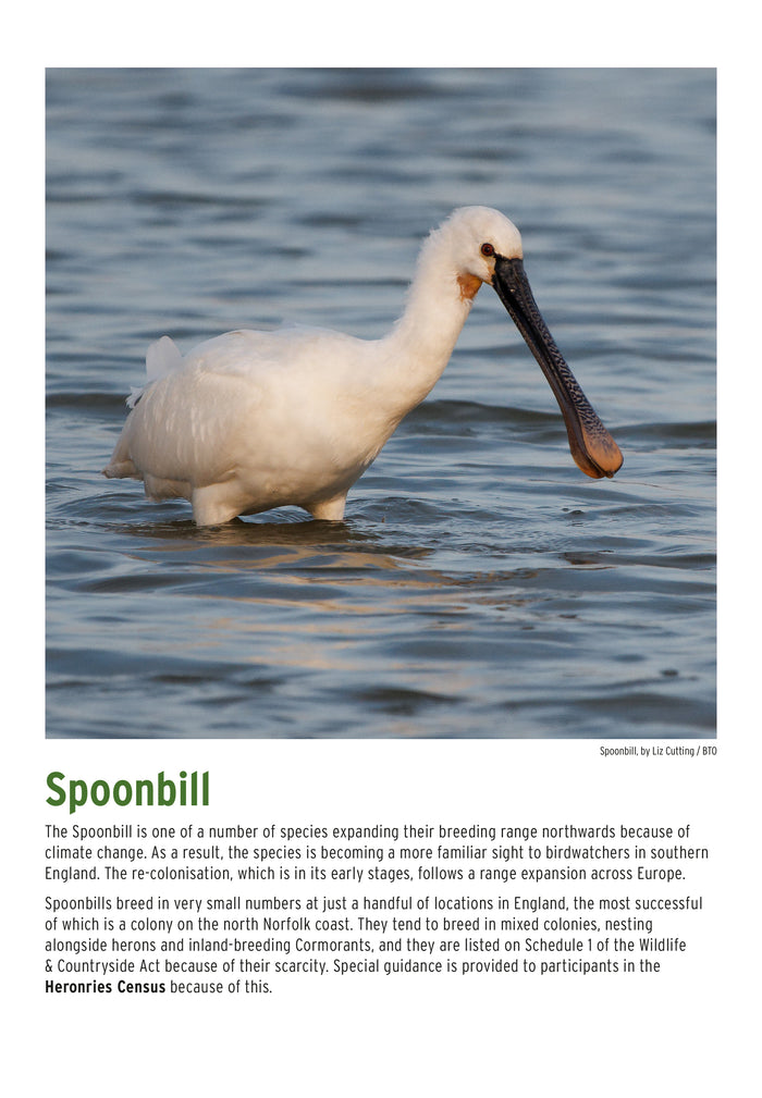 BTO 2027 Calendar