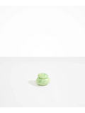 Dinosaur Designs Small Pebble Jar, Grass