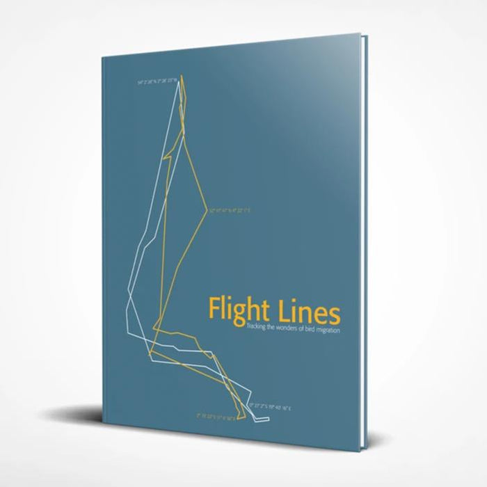 Flight Lines