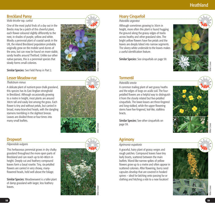 Flowers of the Brecks Part One: Heath & Grassland, by Mike Crewe