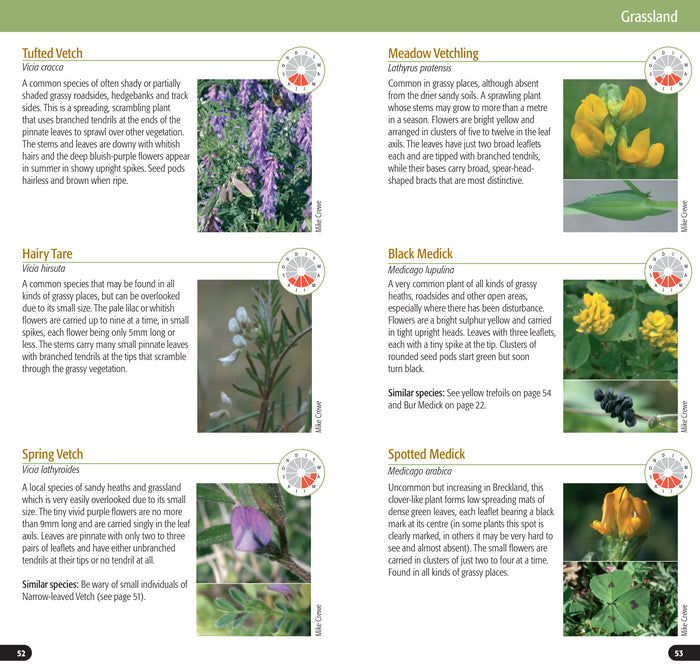 Flowers of the Brecks Part One: Heath & Grassland, by Mike Crewe