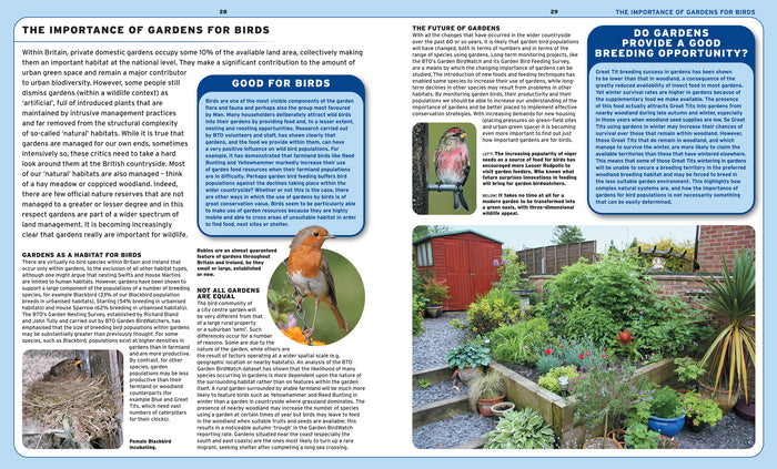 Garden Birds and Wildlife