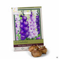 Gladiolus Blue Moon Mixture 10- pack