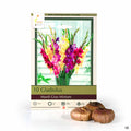 Gladiolus Mardi Gras Mixture 10- pack