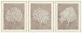 Hendridge Wall Art (Set of 3)