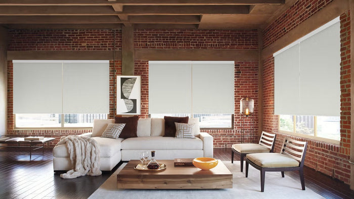 Hunter Douglas Designer Roller Shade