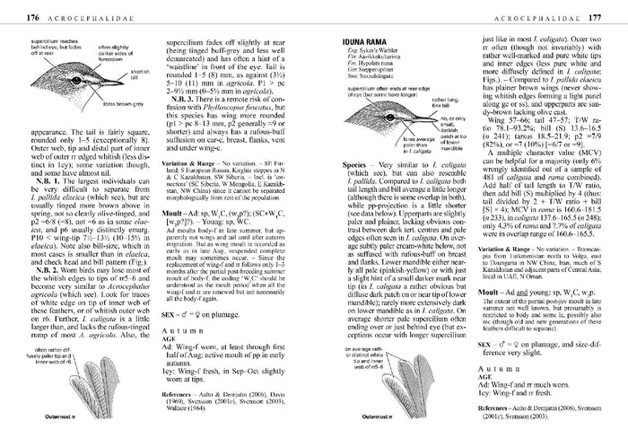 Identification Guide to European Passerines - Lars Svensson