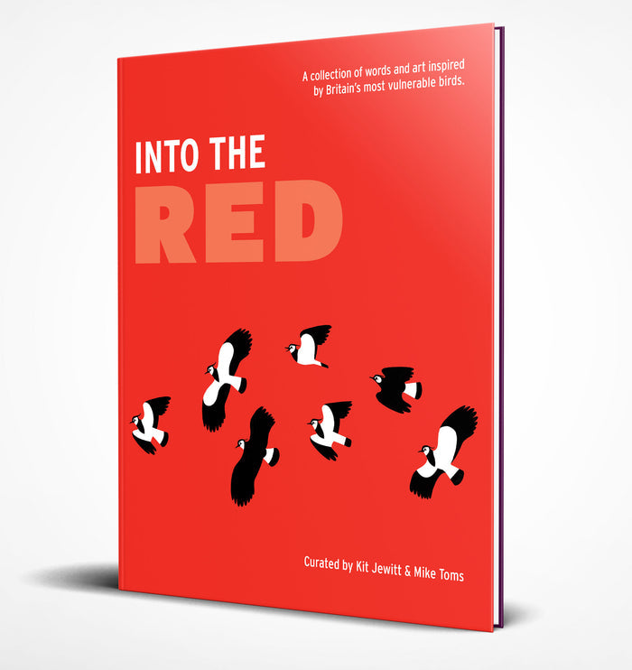 Into the Red