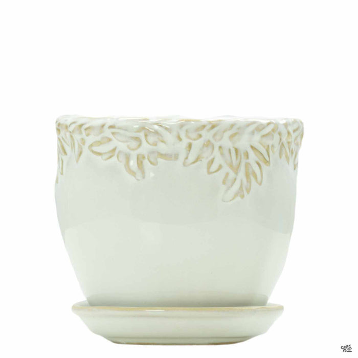Ivy League Jardiniere 5.25 inch