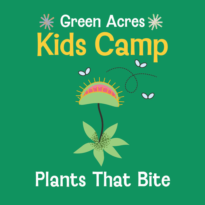 Kids Camp Plants That Bite