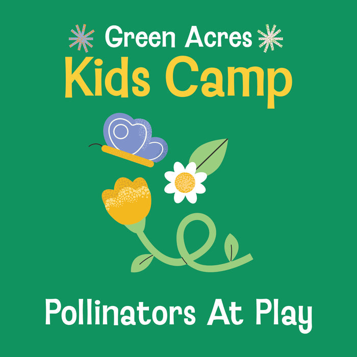 Kids Camp Pollinators At Play