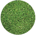 Delta Bluegrass Company Latitude 36