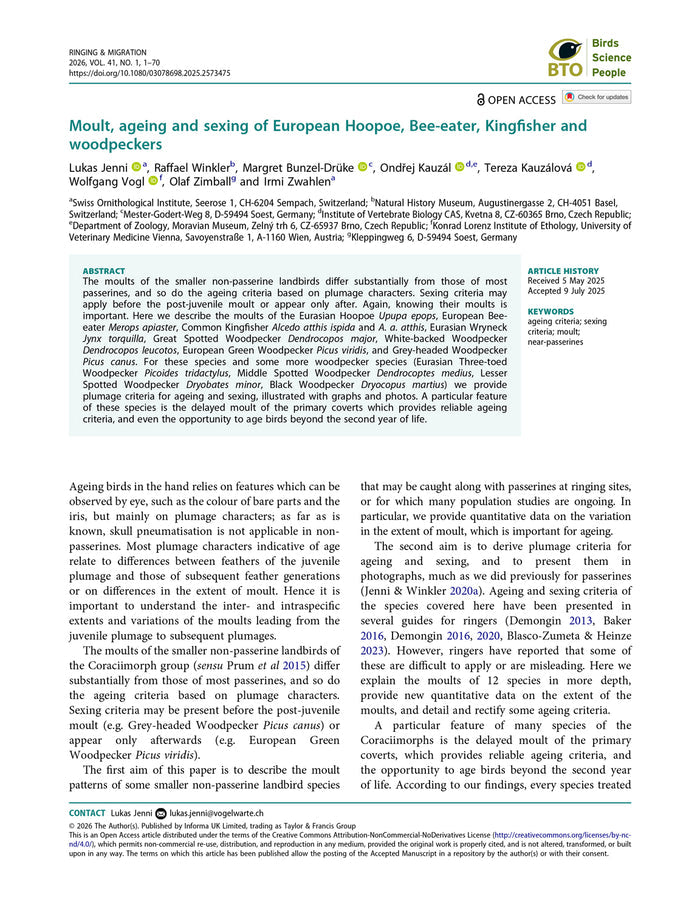 Moult, ageing and sexing of European Hoopoe, Bee-eater, Kingfisher and woodpeckers