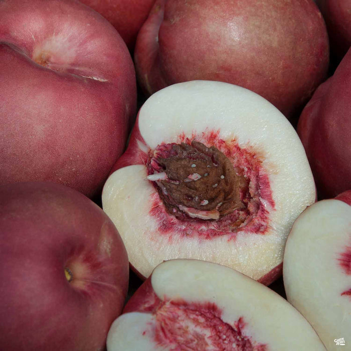 Nectaplum 'Spice Zee'