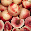 Nectarine 'Arctic Sprite', Miniature