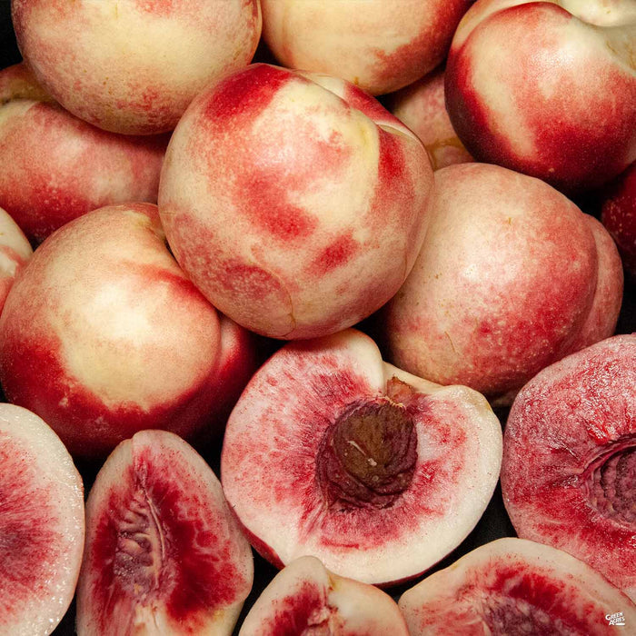 Nectarine 'Arctic Sprite', Miniature