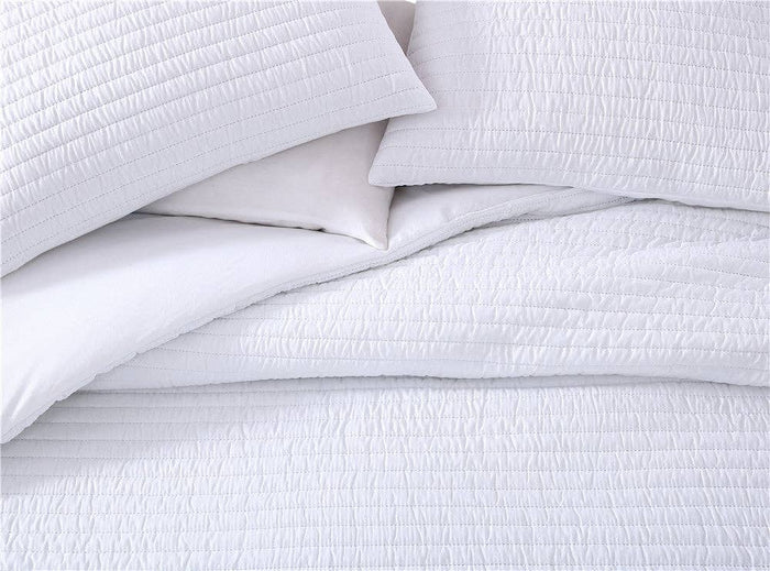 Palm 3 Piece Queen Comforter Set