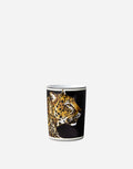 Porcelain Water Glass Glassware Dolce&Gabbana