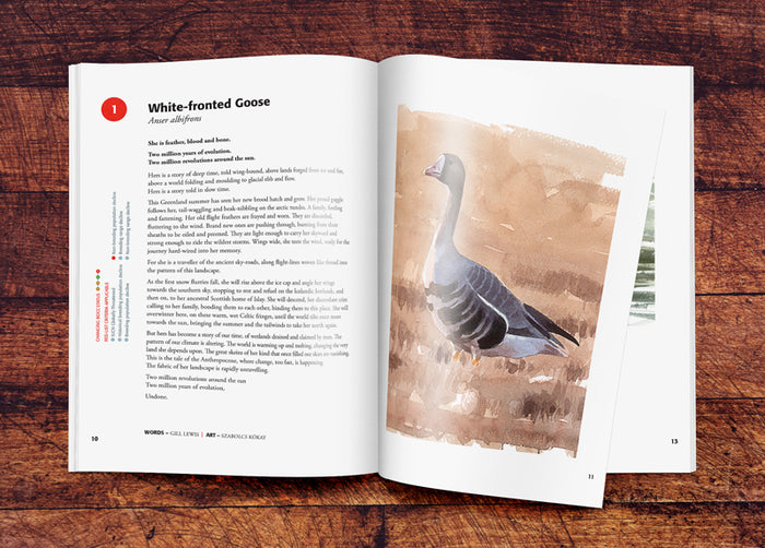 Red Sixty Seven Book