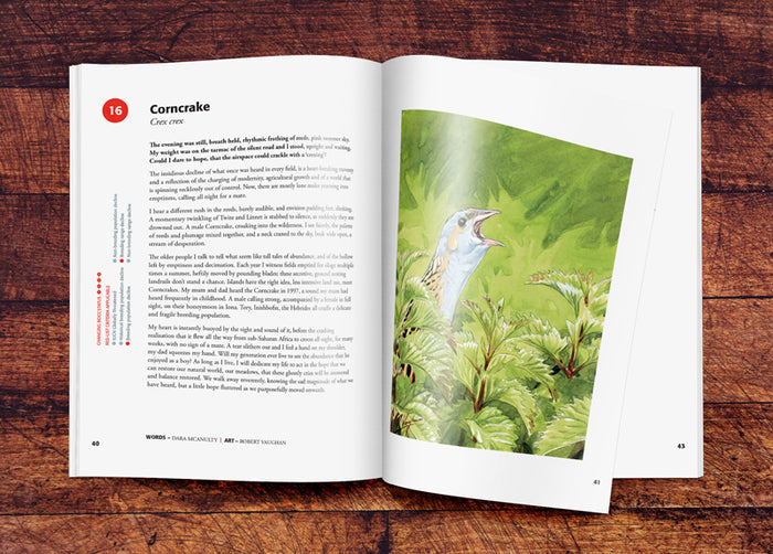 Red Sixty Seven Book
