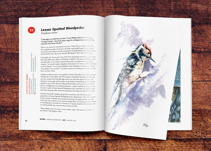Red Sixty Seven Book