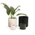 Revival Cylinder Planters