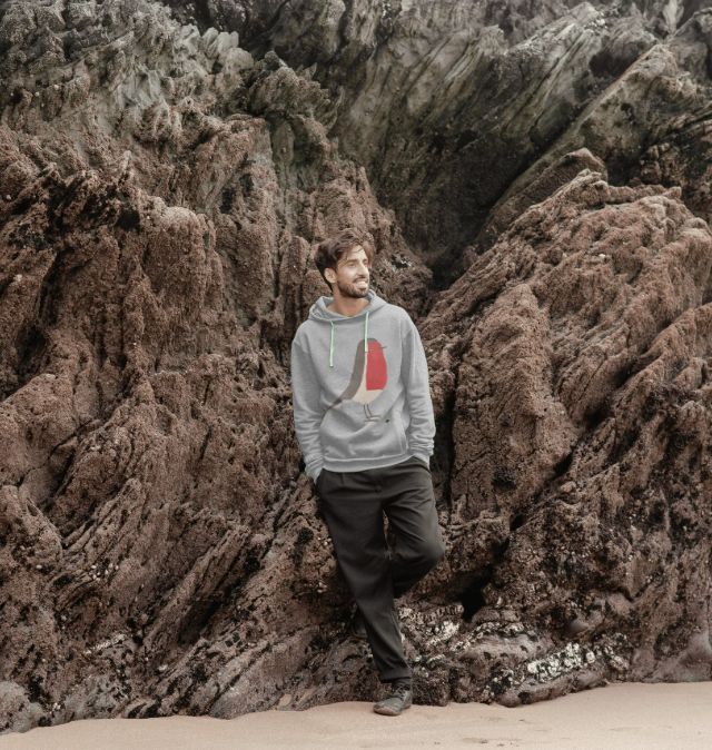 Robin Men's Hoodie