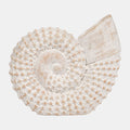 Sagebrook Accessories:Shell Accent