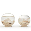 Set of 2 Decorative Filled Sealife Globes
