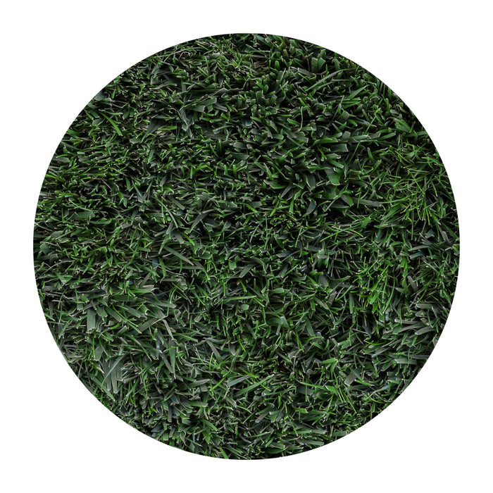 Delta Bluegrass Company Shade Blend