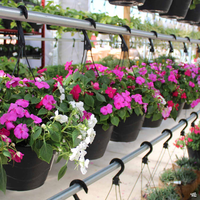 Texas Hanging Baskets Spring 2025