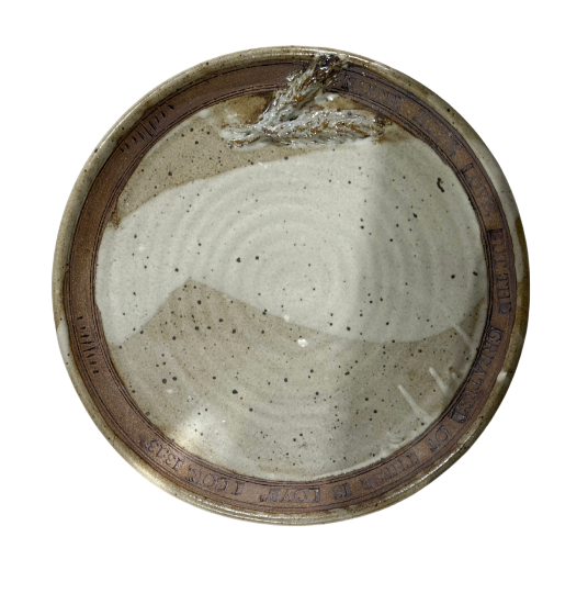 Vintage Vega Pottery Plate 10"